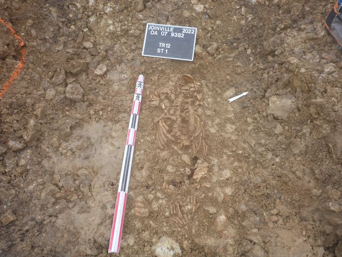 Assistez à la conférence « Sur les traces de Joinville et ses environs avec l’archéologie préventive »