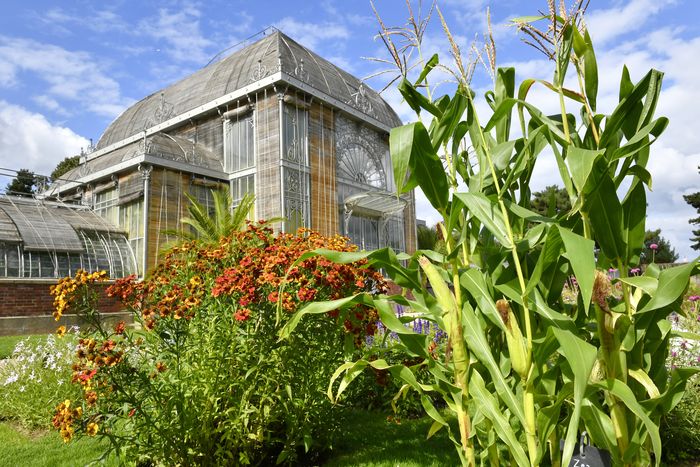 Découverte du Jardin des Plantes