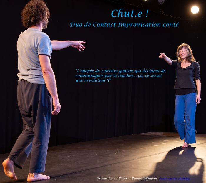Proposition de spectacle pour le catalogue culturel du Loiret
