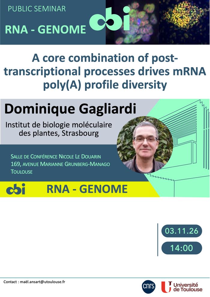 A core combination of post-transcriptional processes drives mRNA poly(A) profile diversity