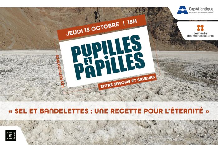 Rencontre gratuite – Sel et bandelettes : une recette pour l’éternité