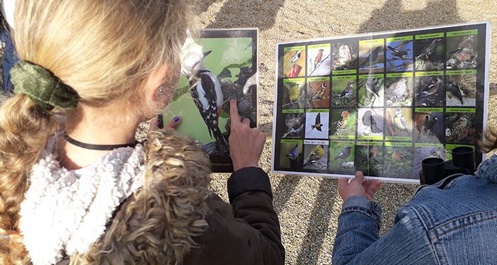 Observation des oiseaux au Grand-Blottereau ! (2 juillet)