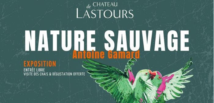Exposition "Nature sauvage" d'Antoine Gamard