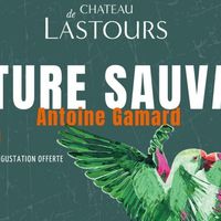 Exposition "Nature sauvage" d'Antoine Gamard