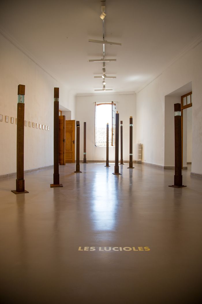 Visite guidée de l'exposition "Les Lucioles"