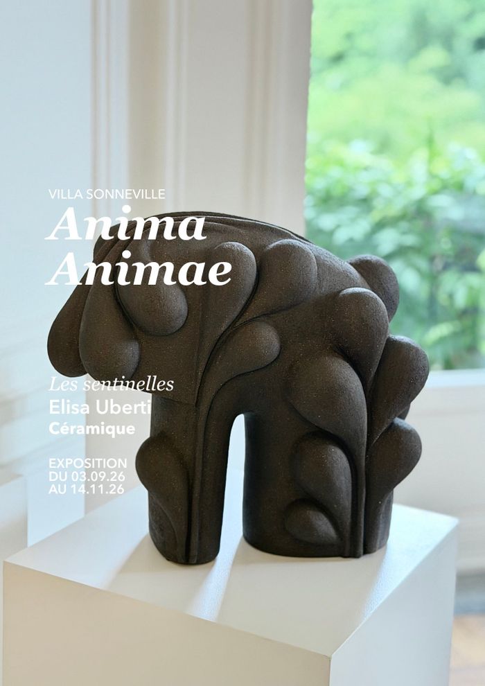 Anima, Animae
