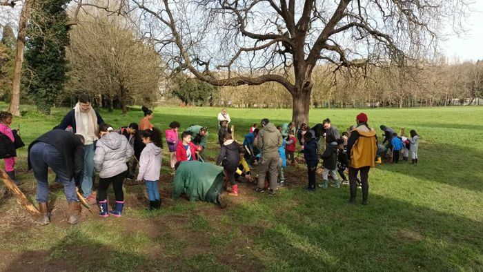 Plantations participatives de haies