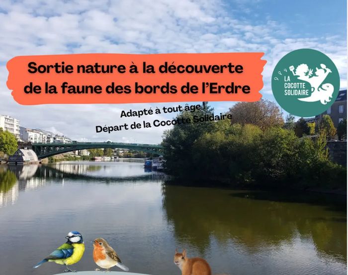 Balade découverte de la faune & flore avec la maison de l'Erdre !