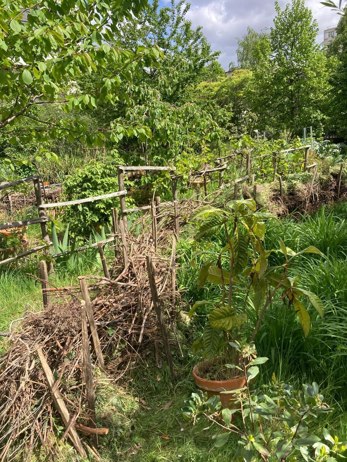 Découverte du Jardin partagé Ver Têtu