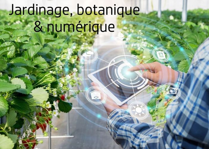 Internet
Jardinage, botanique & numérique