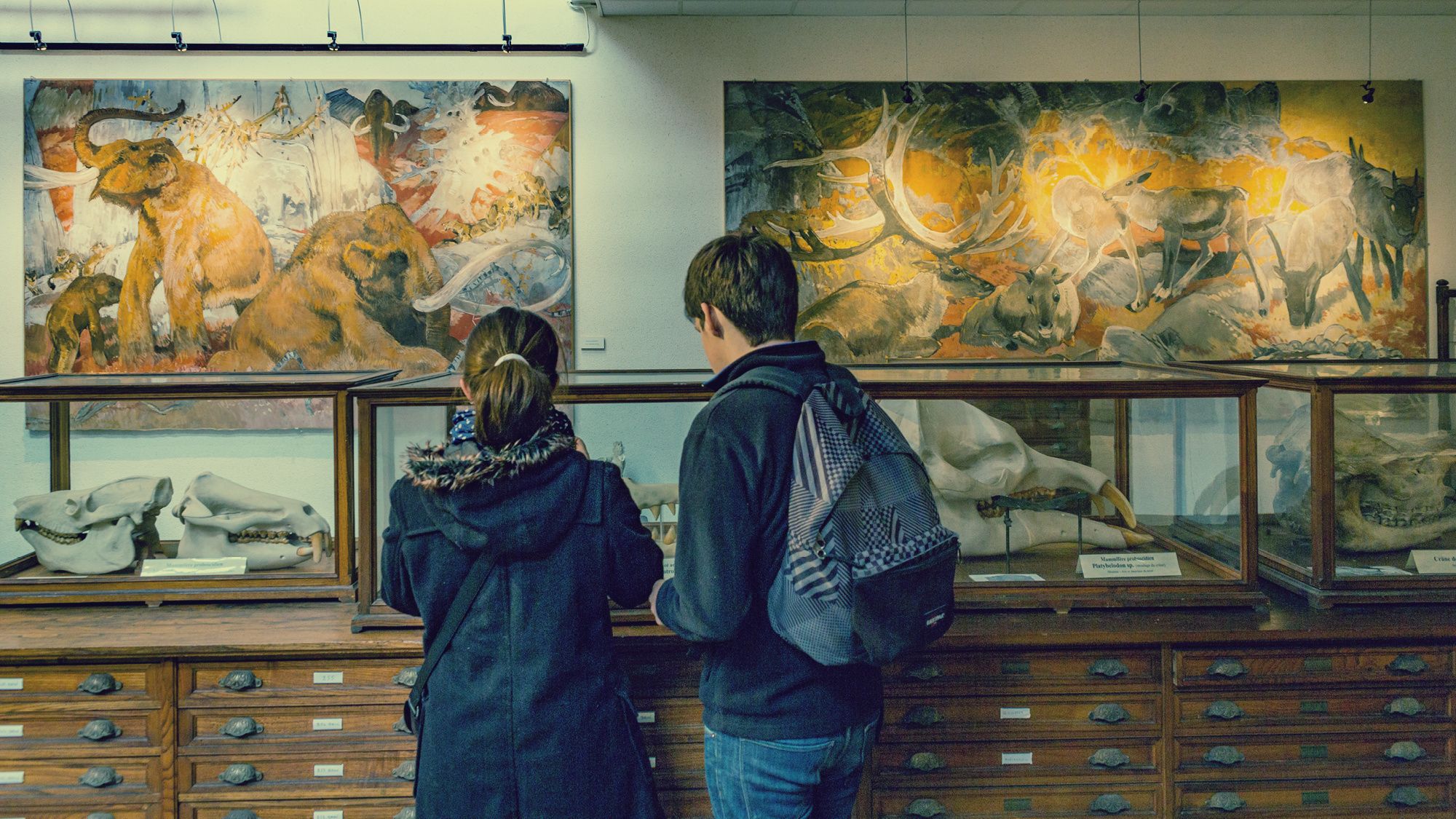 Visitez les collections scientifiques de l’Université de Rennes 1.