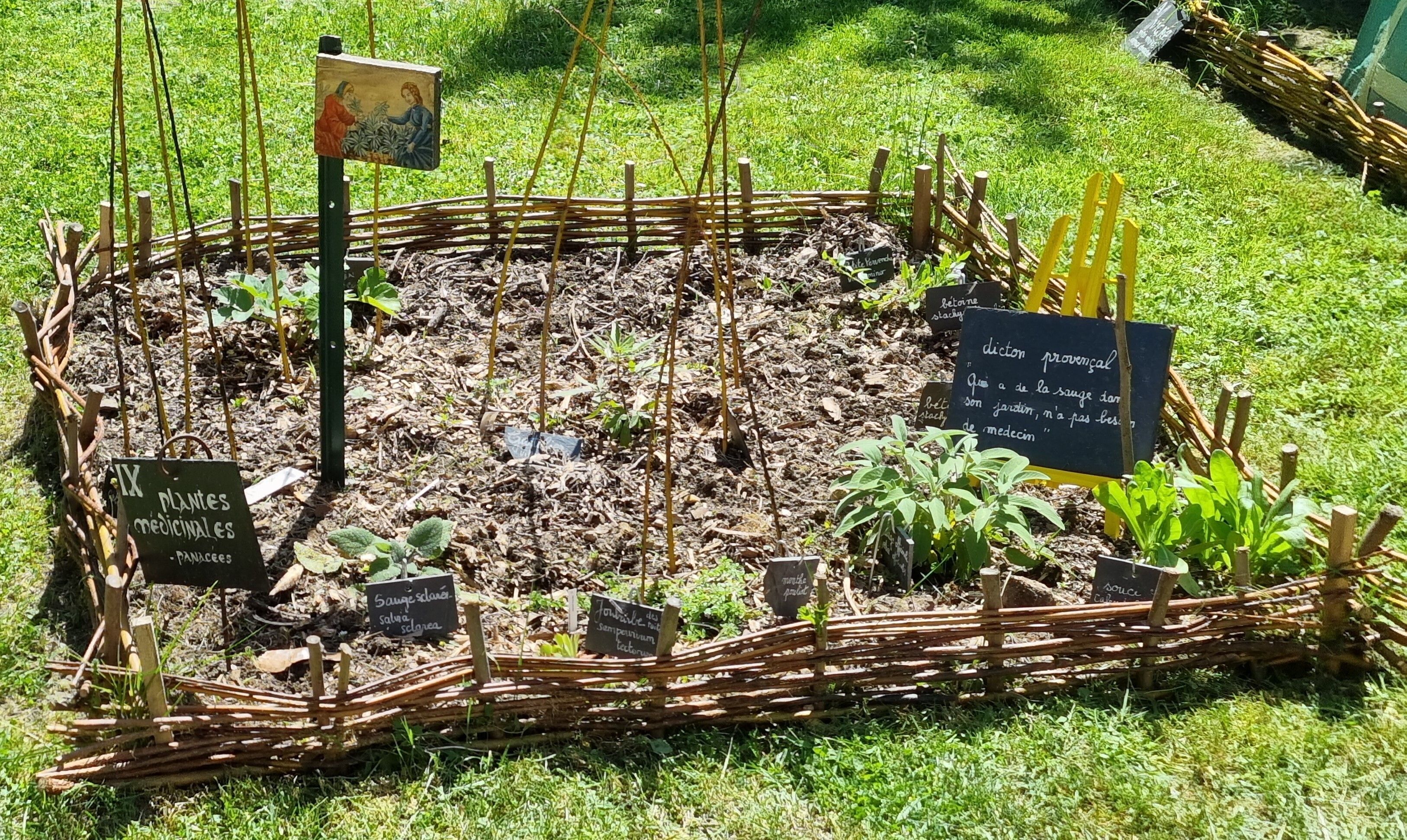 Visite commentée : à la découverte du Jardin médiéval de la Sagesse