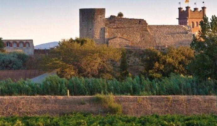 Visite du village et dégustation
