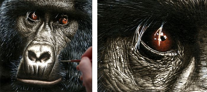 Stage dessin – Hyper-réalisme : l'art du détail !