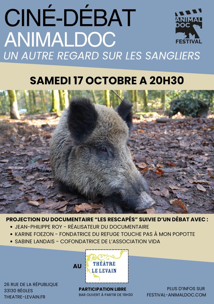 CINÉ-DÉBAT — Un autre regard sur les sangliers