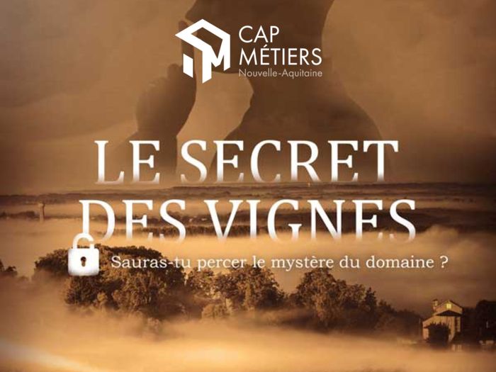 Découvrez les métiers de la vigne et du vin