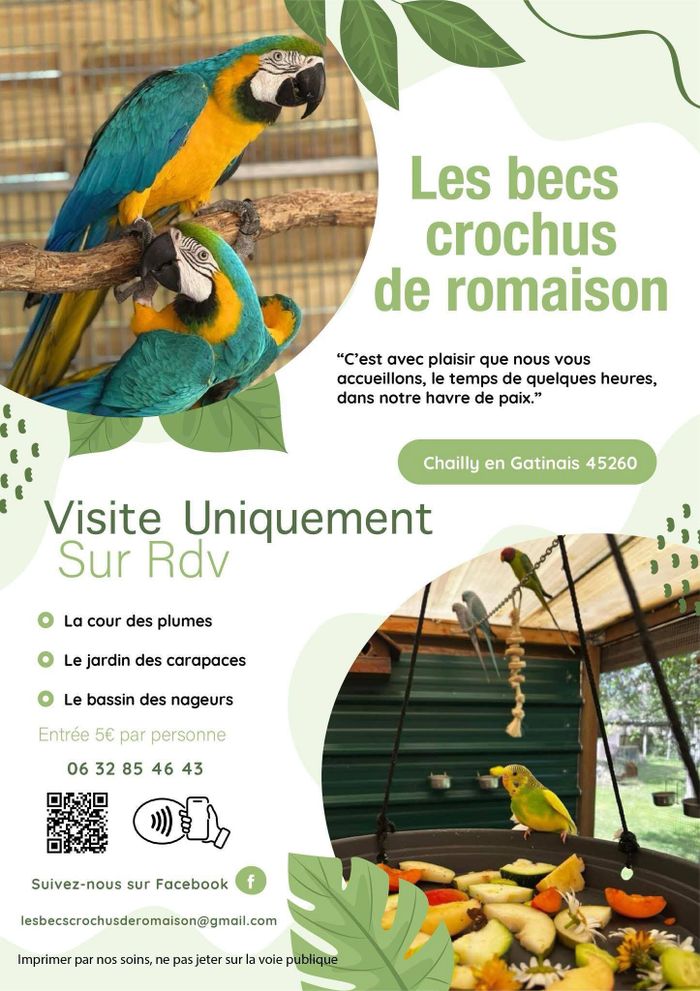 Arrière plan flou de l'image