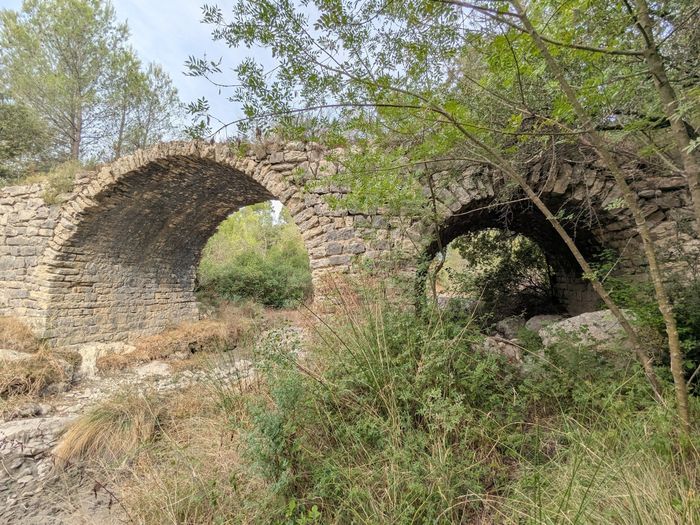 Le pont roman de Saint-Jean-de-Cuculles, une visite commentée de Caroline Andary-Millot