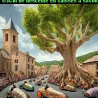 Course de caisses à savon