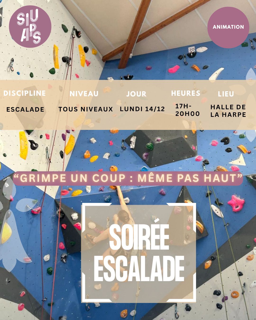 Climbing Evening