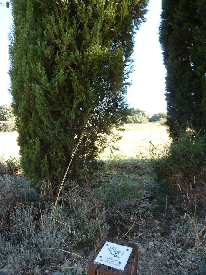 Visuel évènement