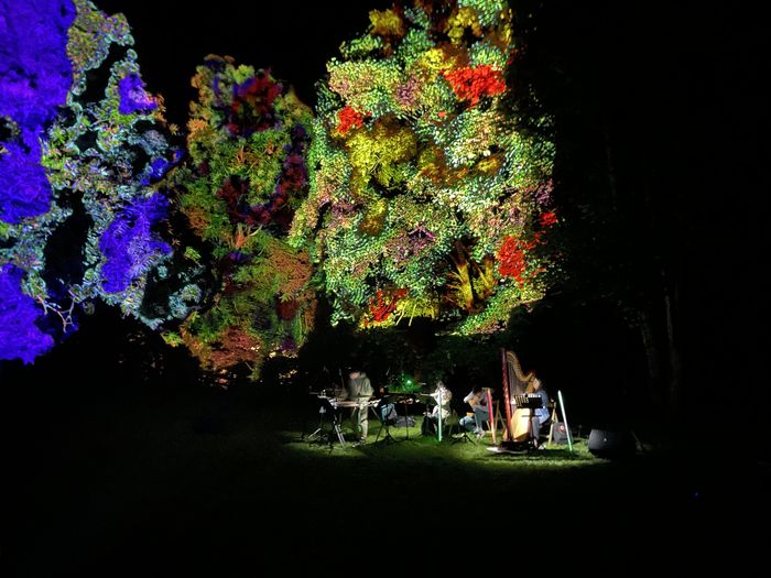 La sieste sous les étoiles - Spectacle immersif