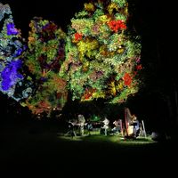 La sieste sous les étoiles - Spectacle immersif