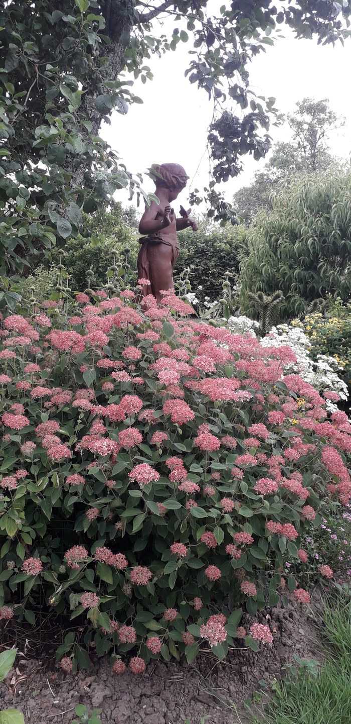 Ouverture exceptionnelle d'un jardin privé