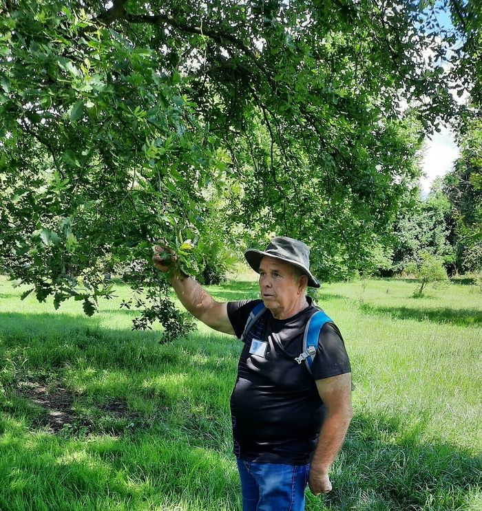 À la découverte des arbres nourriciers !