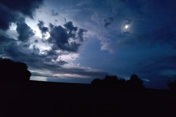 Sortie nocturne
