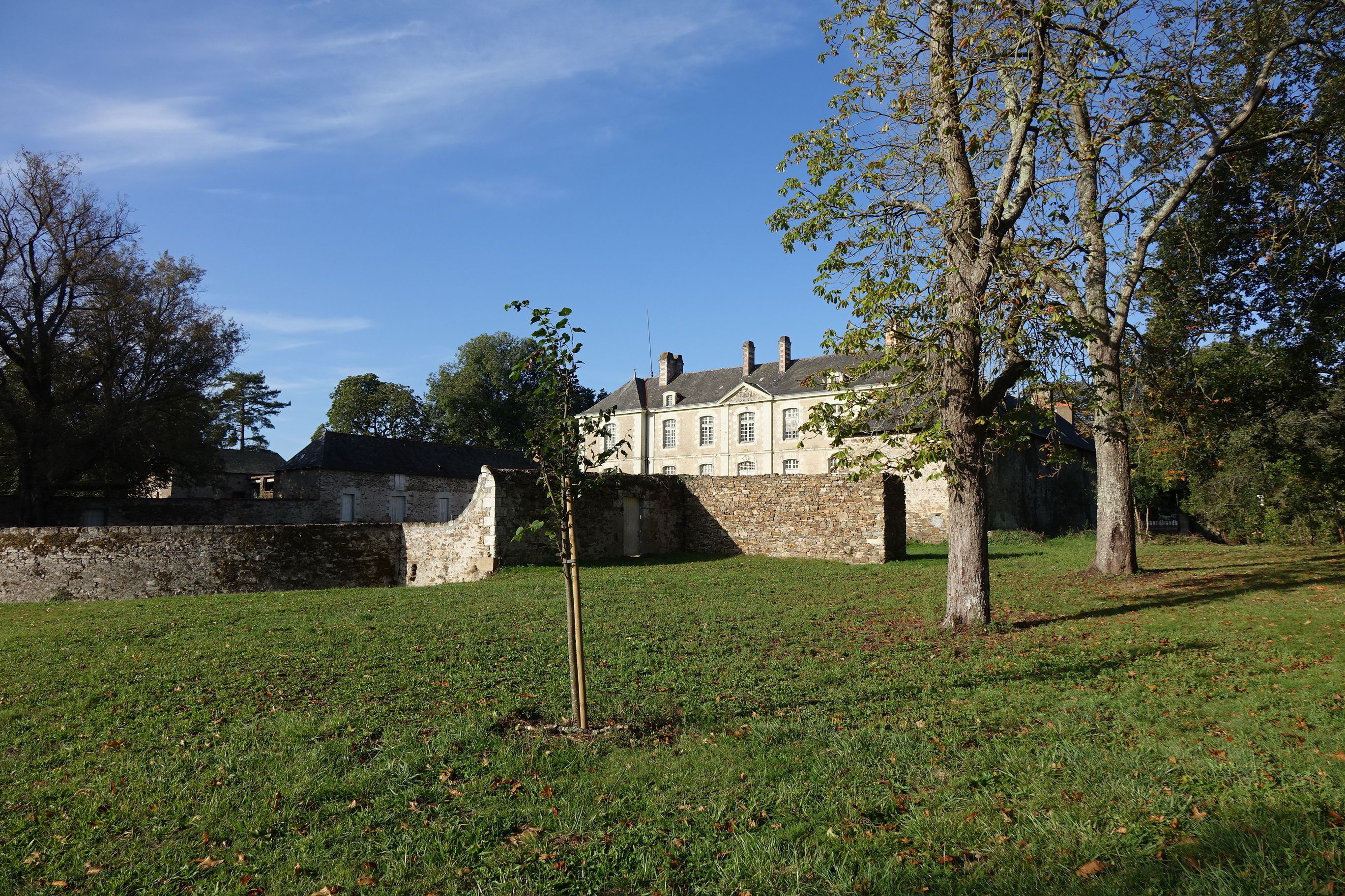 Visite commentée du château de Rochefort
