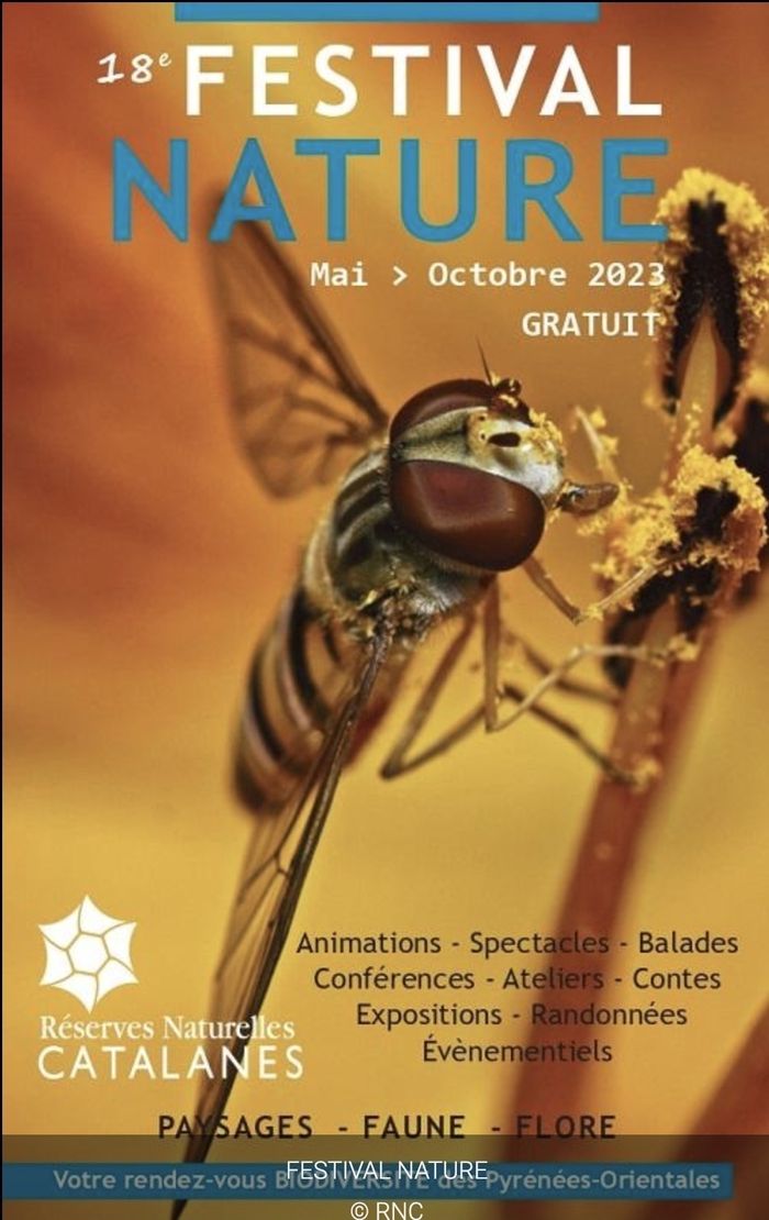 Festival Nature - Le grand ballet des papillons