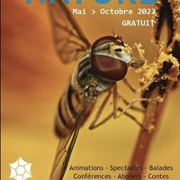 Festival Nature - Le grand ballet des papillons