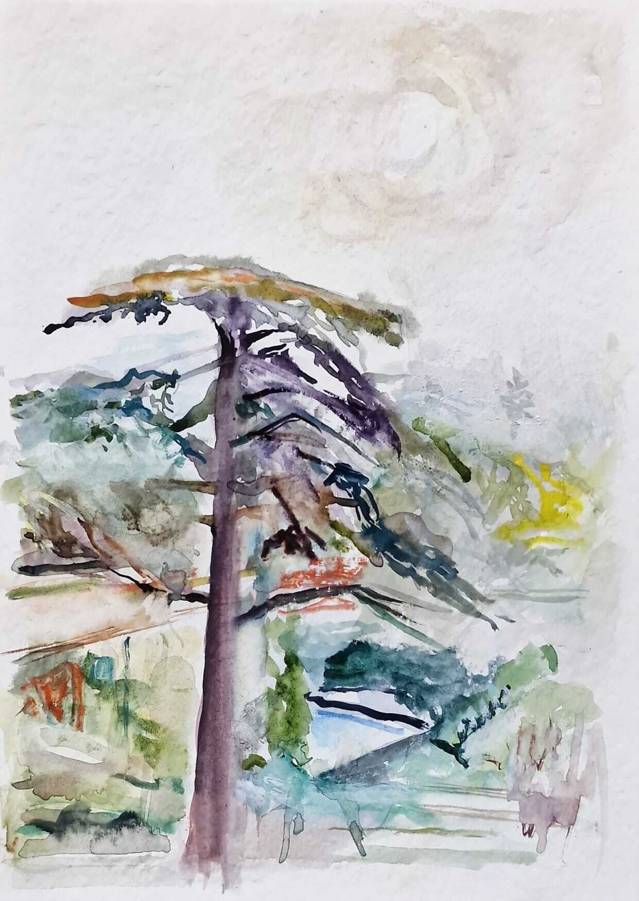 Exposition "Paysages" de Michel Steiner