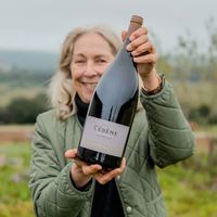 Œnotourisme - Le Millésime & le Temps – Les Bancèls