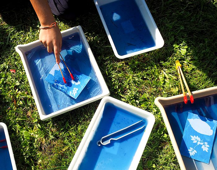 Atelier cyanotype en famille