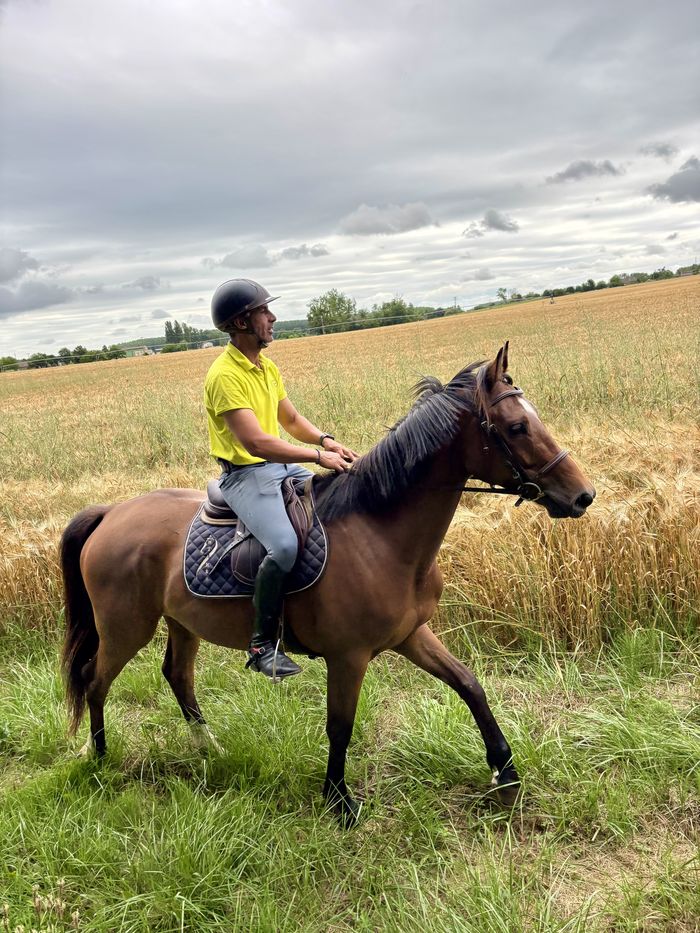 Equitation: Balade à cheval