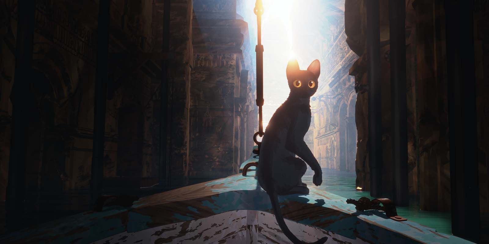 CINÉMA EN PLEIN AIR | Flow, le chat qui n'avait plus peur de l'eau