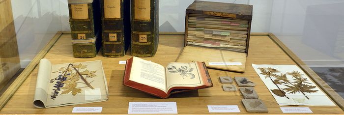 Opening of the exhibitions "Herb'en Loire" and "Exploration of a territory"