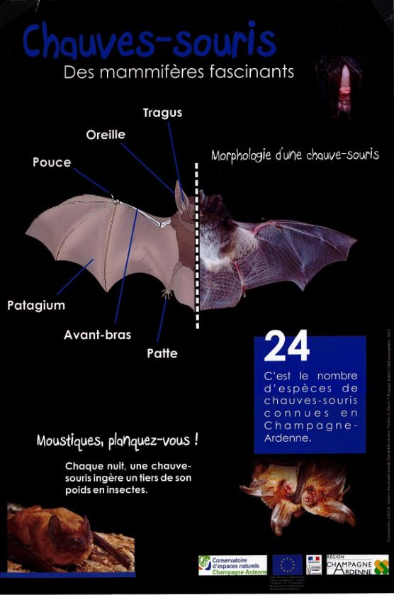 Visuel évènement