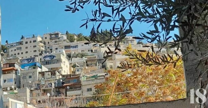 Soirée rencontre avec des jeunes adultes palestiniennes et palestiniens