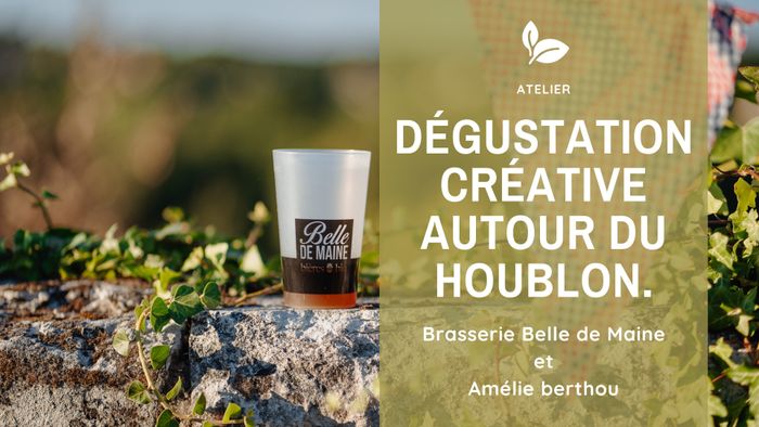 Immersion houblonnée - Dégustation créative autour du Houblon.