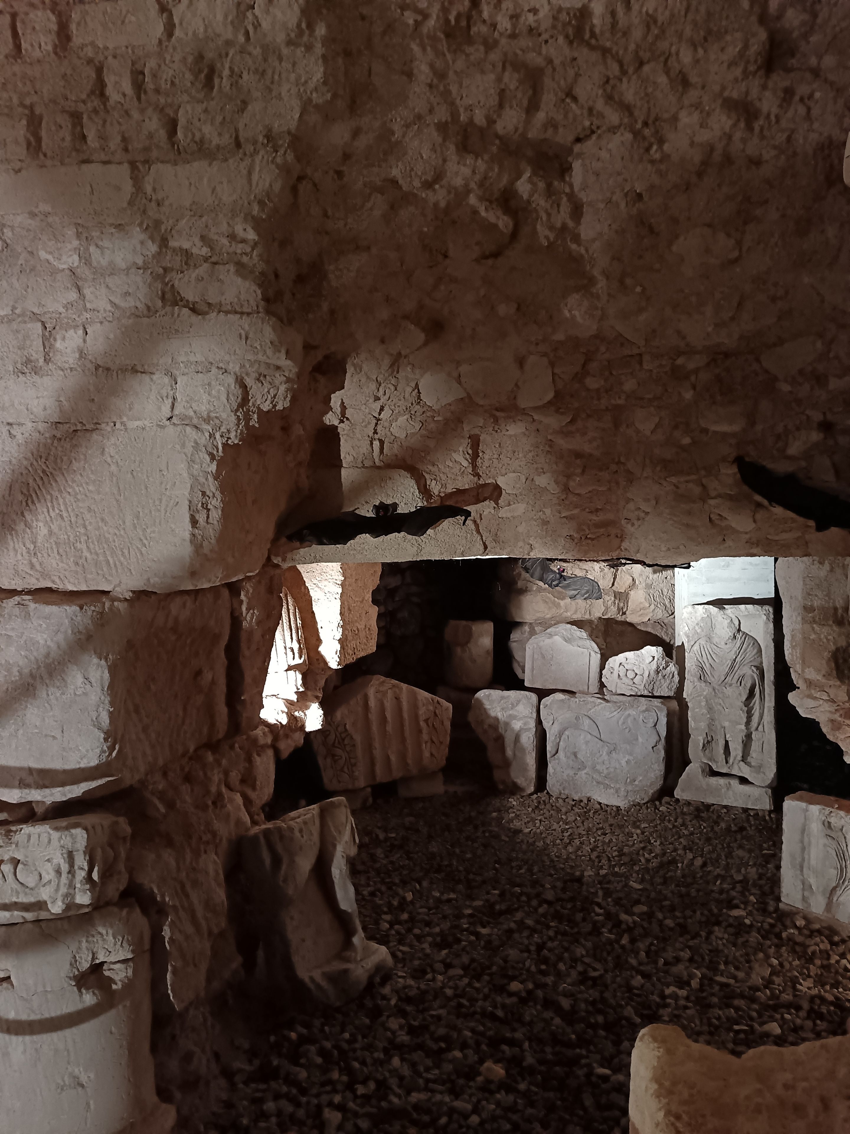 Peur sur le musée !