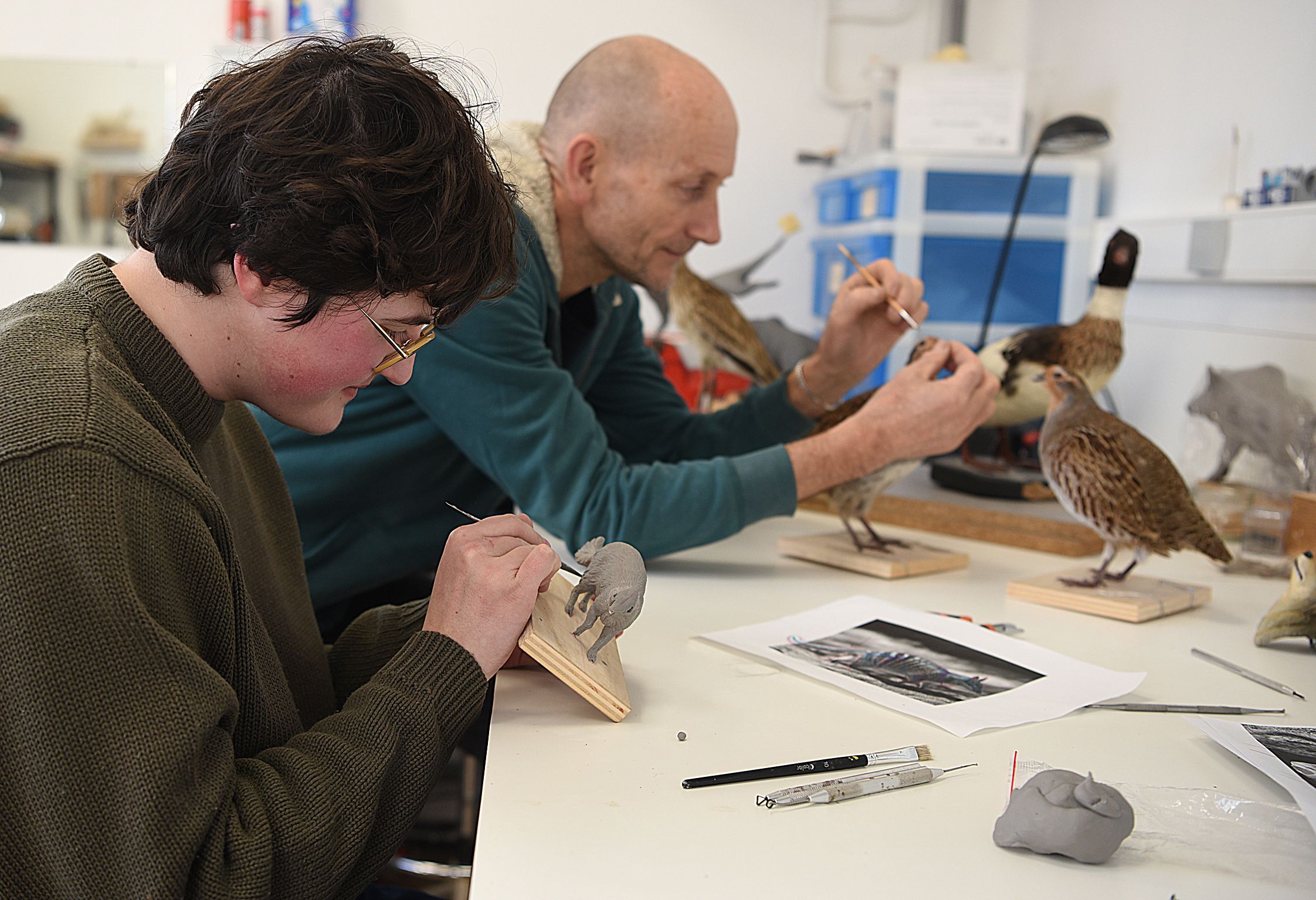 Les secrets de la taxidermie, rencontre-métier.