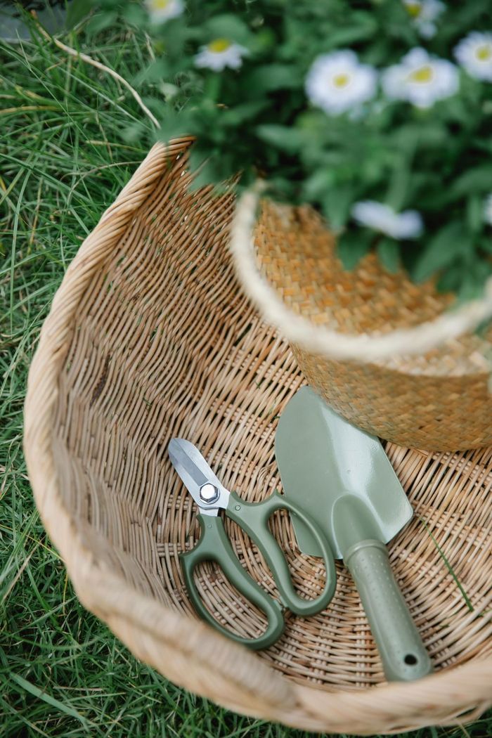 Cueillette des herbes de la St-Jean