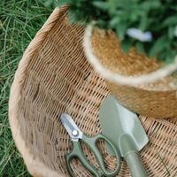 Cueillette des herbes de la St-Jean