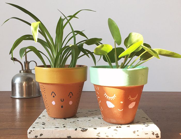 Plantes-potes • avec Caroline Pluijgers / Wundertüte