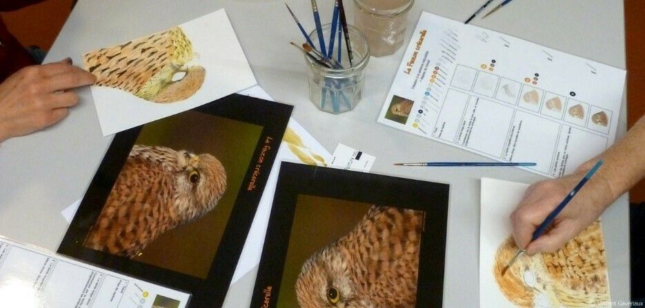Painting Workshop - at Mini-Lab / Le MHN fait le Mur