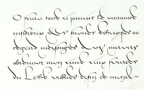 Cours de Caligraphie Latine