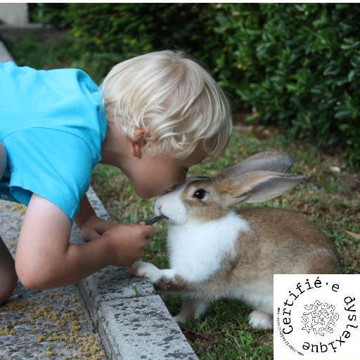Lire avec un animal spécial DYS